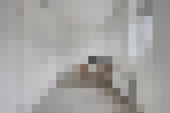 Timotheushof 8 Linschoten thumbnail 14