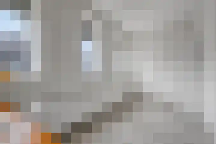 Timotheushof 8 Linschoten thumbnail 15