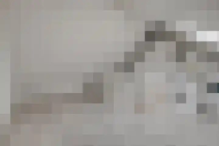 Timotheushof 8 Linschoten thumbnail 18