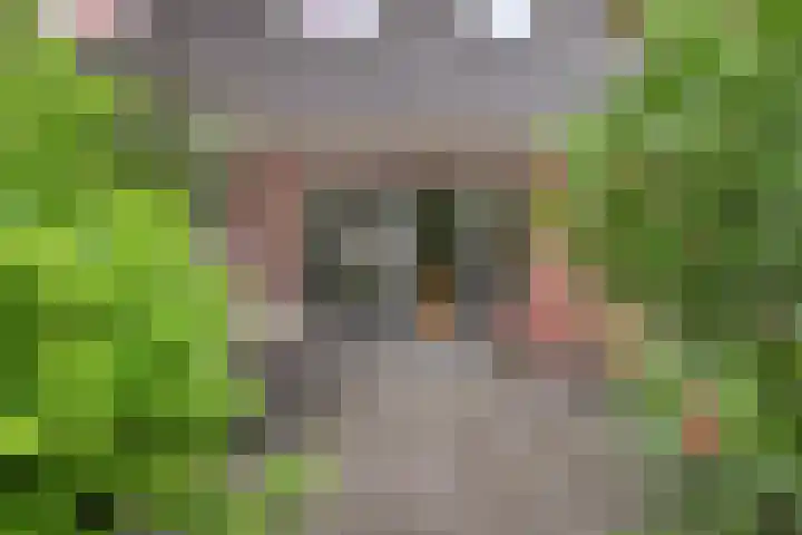 Timotheushof 8 Linschoten thumbnail 21
