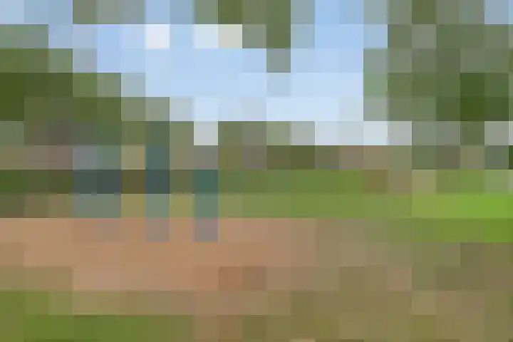 Timotheushof 8 Linschoten thumbnail 26