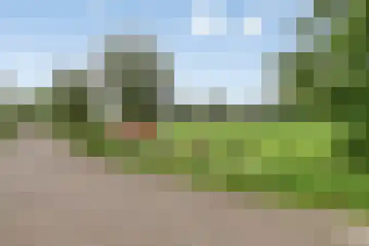 Timotheushof 8 Linschoten thumbnail 27