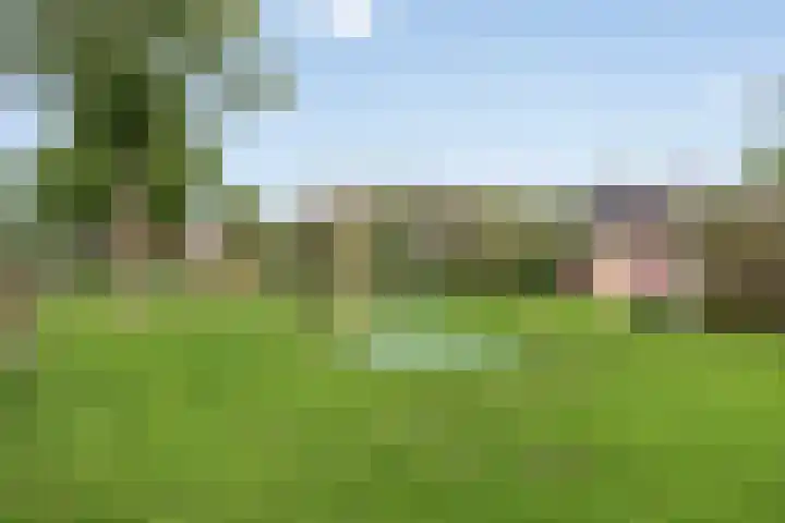 Timotheushof 8 Linschoten thumbnail 28