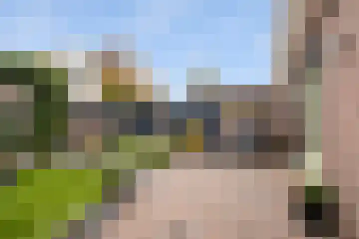 Timp 8 Didam thumbnail 10