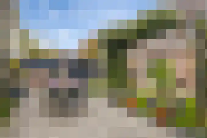 Timp 8 Didam thumbnail 11