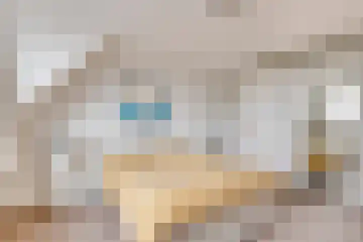 Timp 8 Didam thumbnail 17