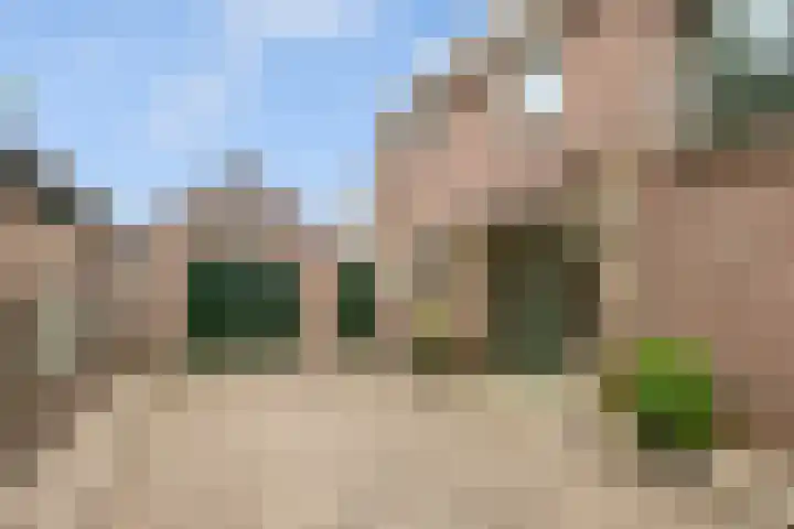 Timp 8 Didam foto 2