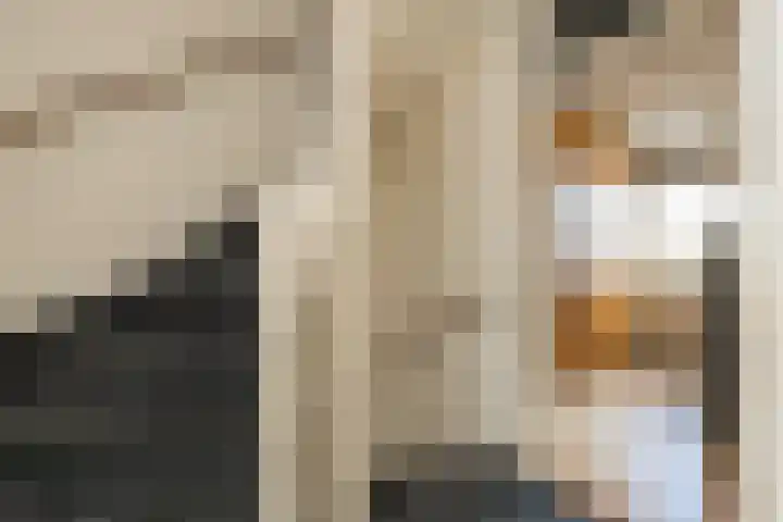 Timp 8 Didam thumbnail 20