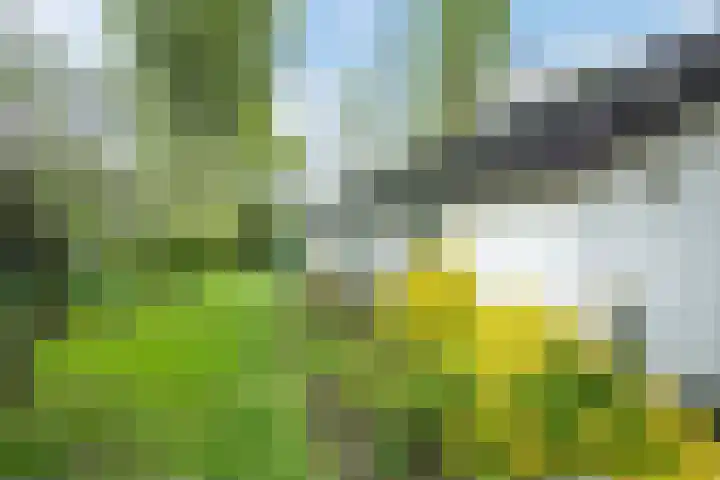 Timp 8 Didam thumbnail 28