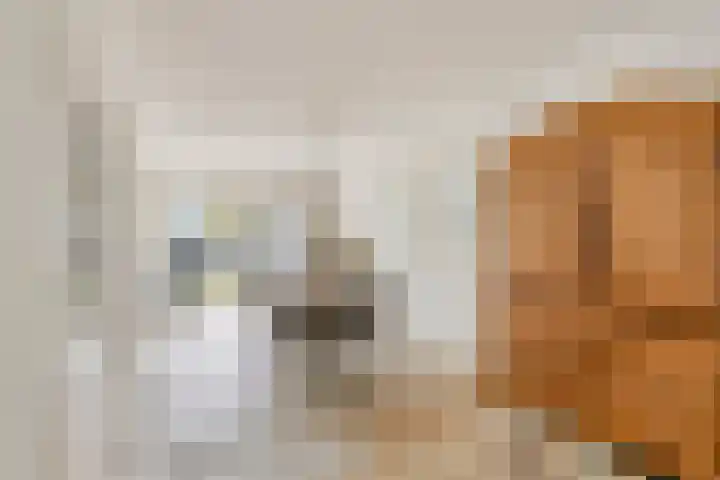 Timp 8 Didam thumbnail 6