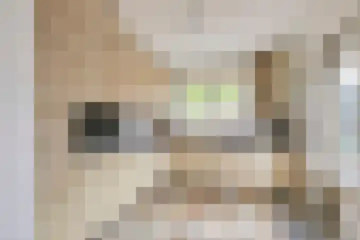 Timp 8 Didam thumbnail 9