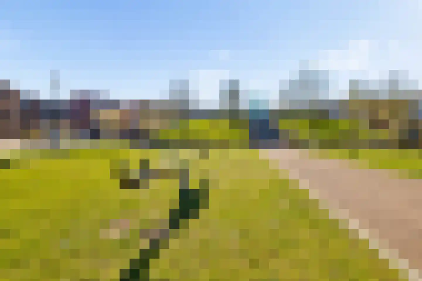 Timpaanstraat 16 Helmond thumbnail 27