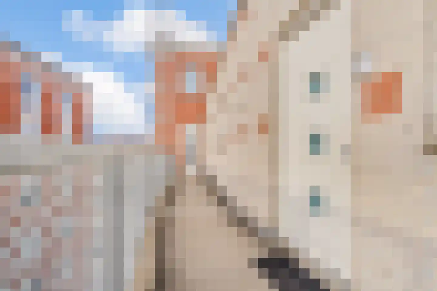 Timpaanstraat 38 Helmond thumbnail 24