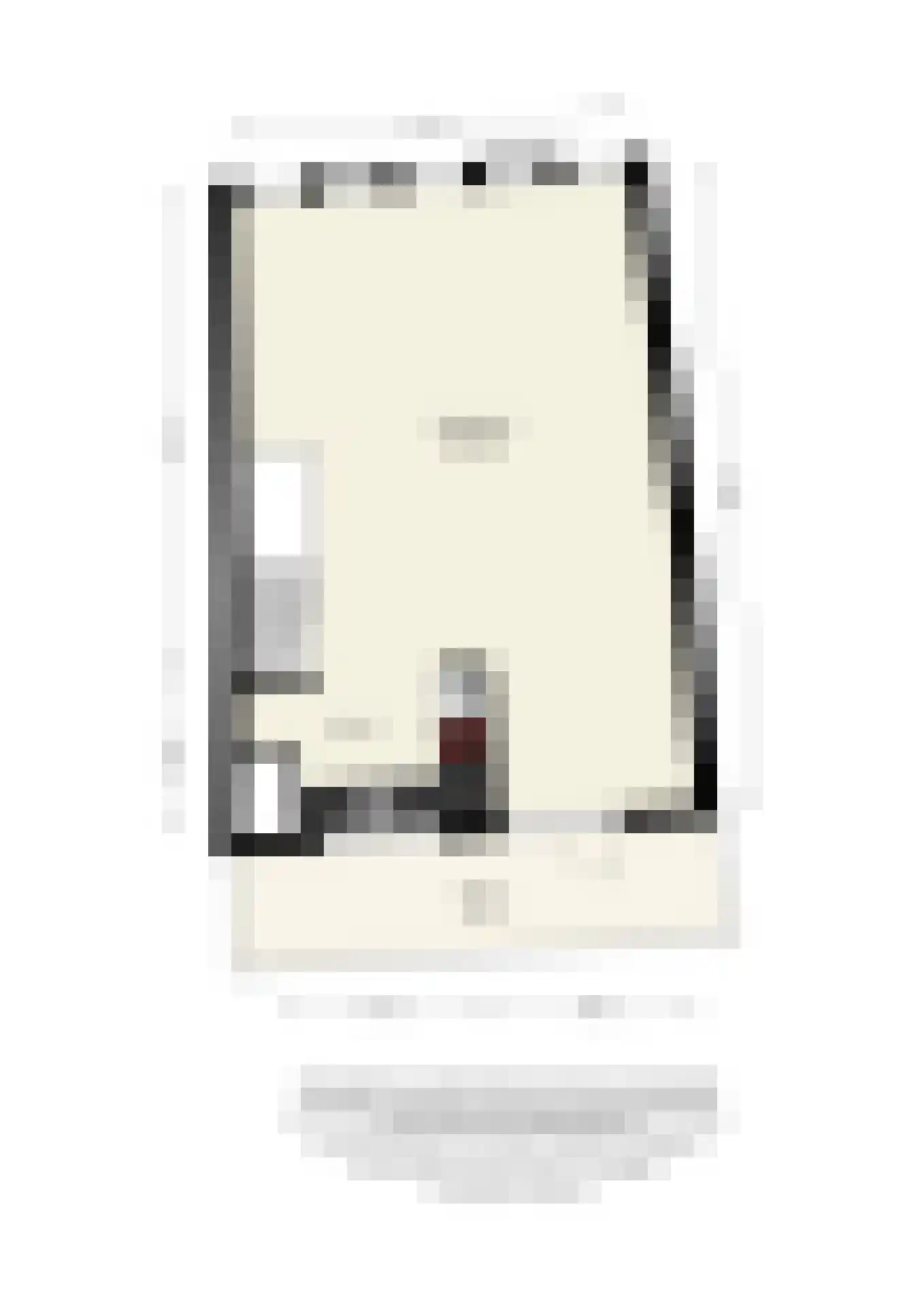 Timpaanstraat 38 Helmond thumbnail 32