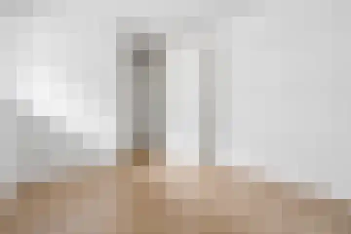 Timpaanstraat 8 Helmond thumbnail 15