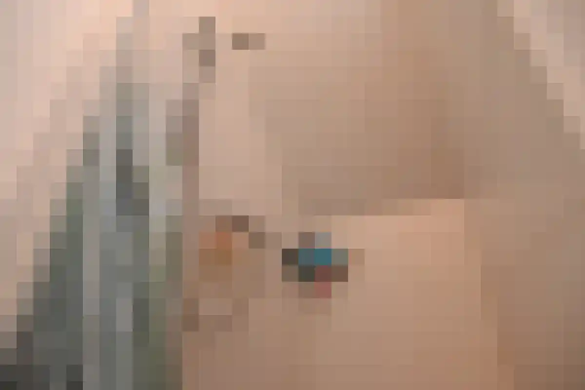 Timpweg 2 Groningen thumbnail 6