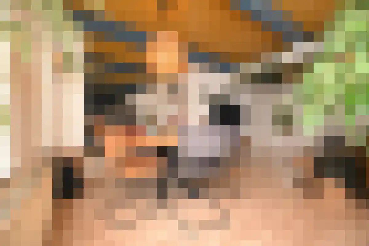 Timpweg 2 Groningen thumbnail 6