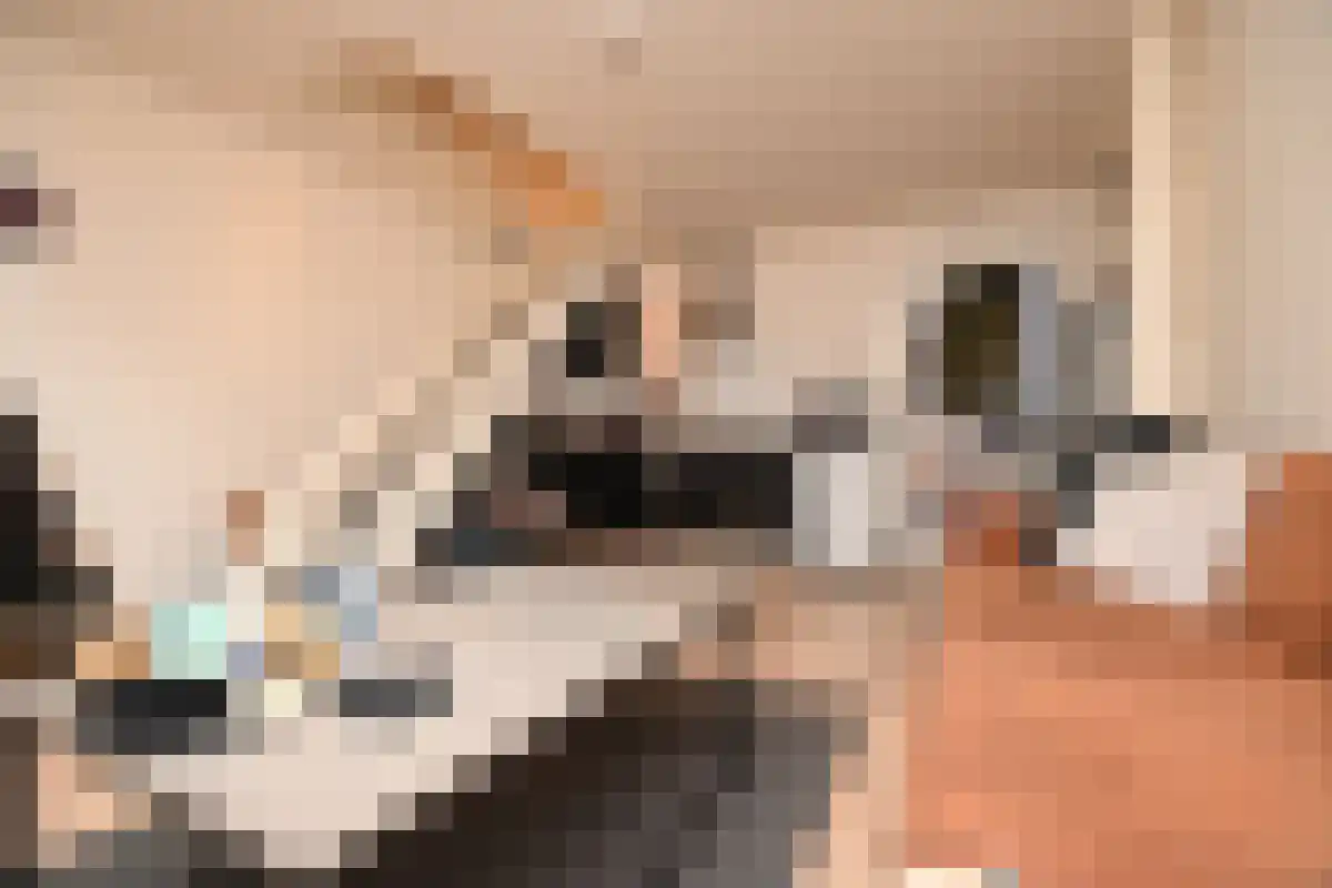 Timpweg 4 F Groningen thumbnail 6