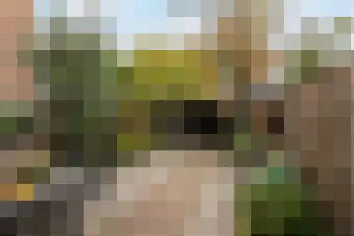 Tinbergendreef 4 Maassluis thumbnail 31