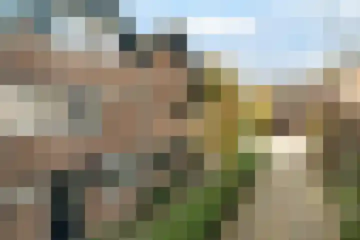 Tinbergendreef 4 Maassluis thumbnail 33