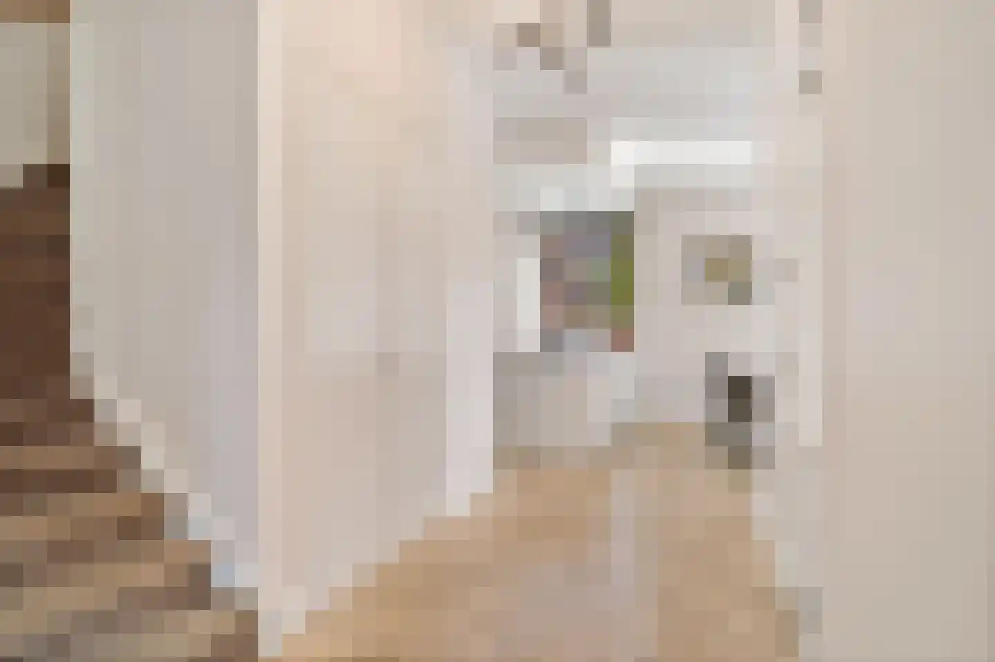 Tinbergenlaan 123 Rotterdam thumbnail 17