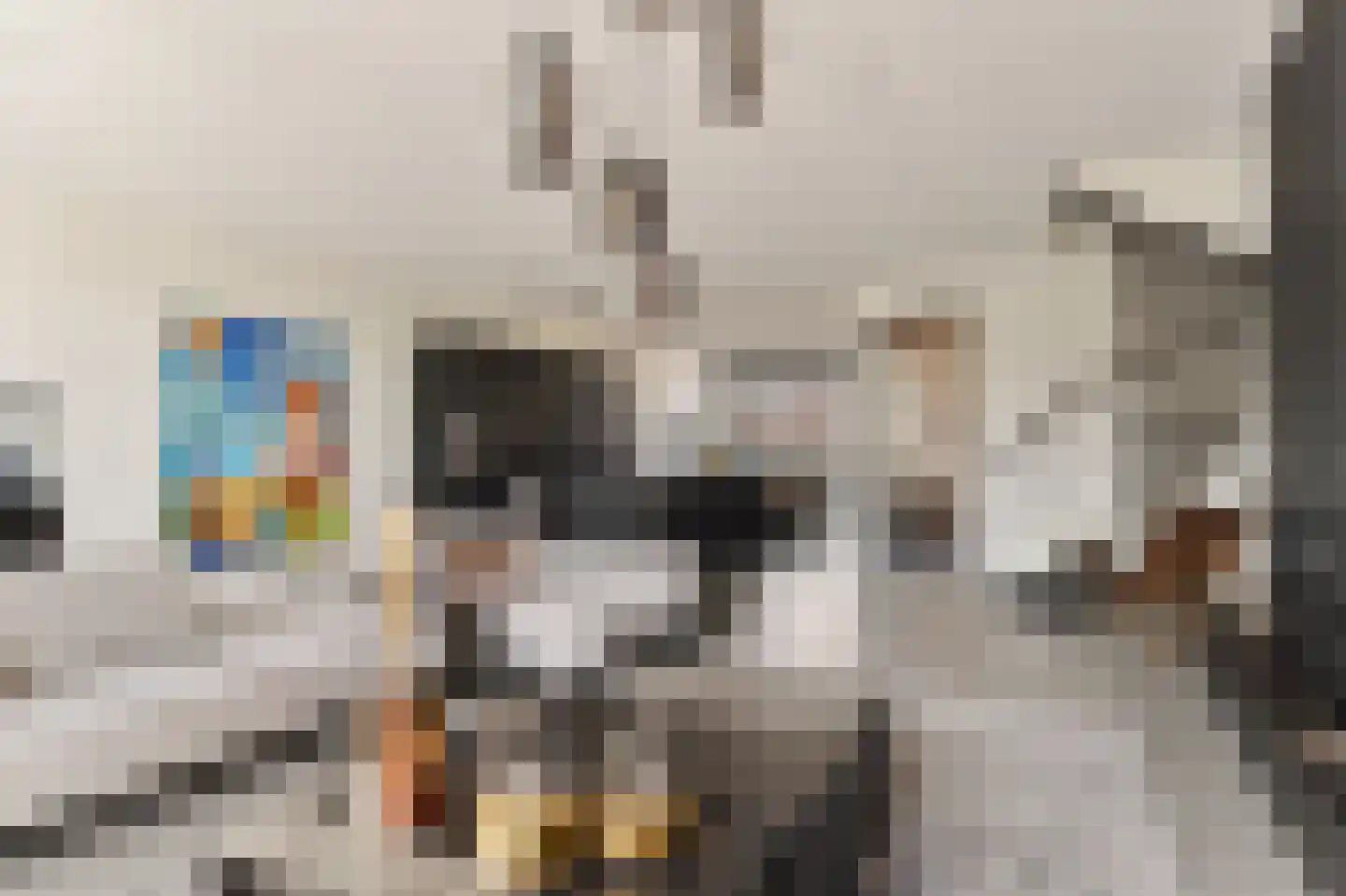 Tinbergenlaan 82 Rotterdam thumbnail 13
