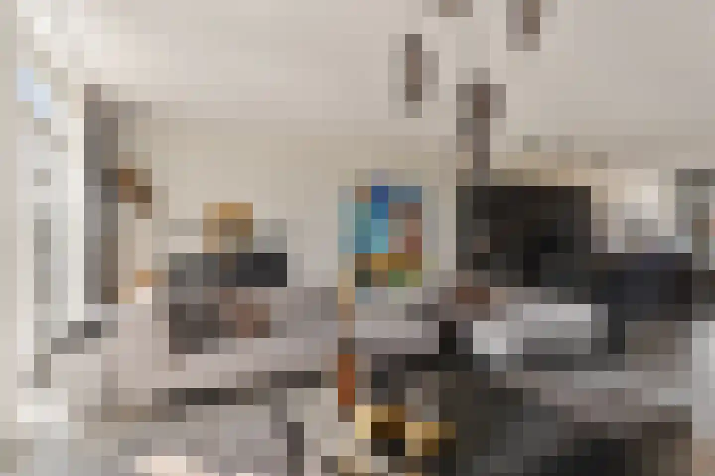 Tinbergenlaan 82 Rotterdam thumbnail 14