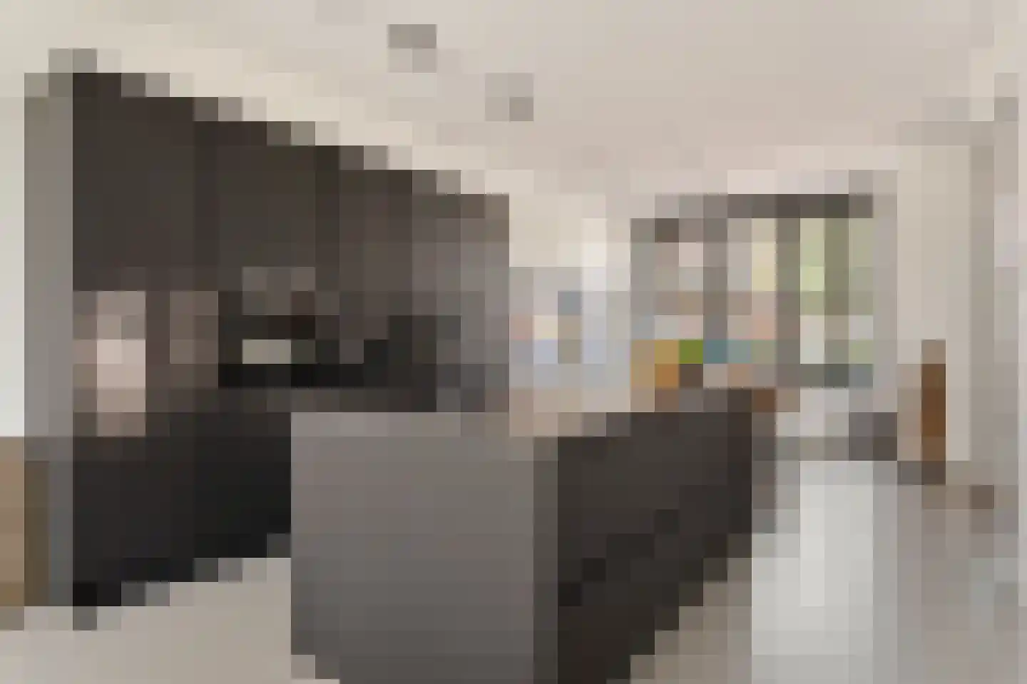 Tinbergenlaan 82 Rotterdam thumbnail 17