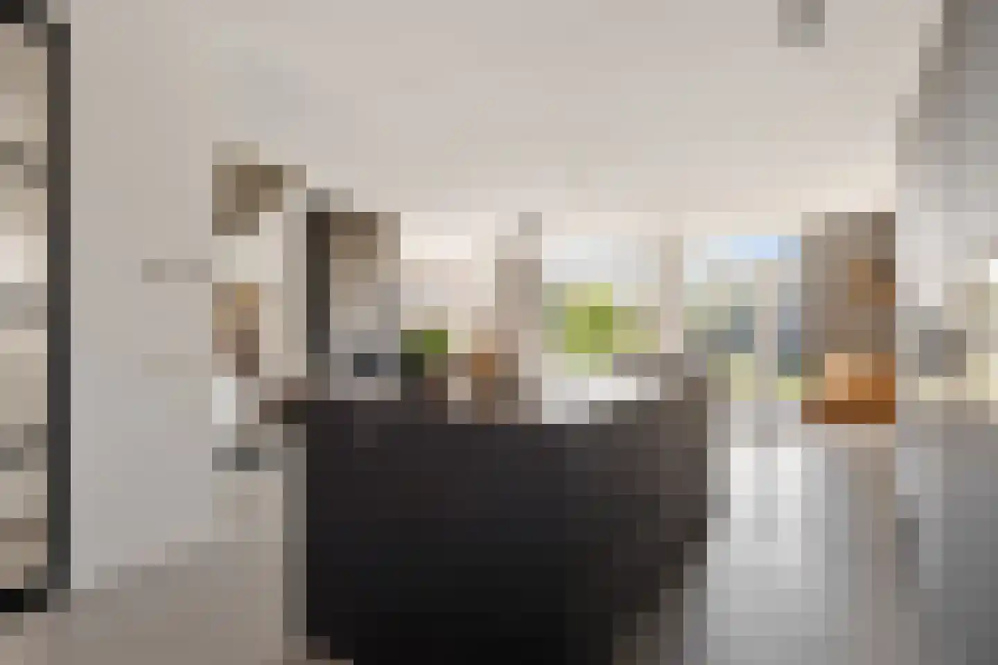 Tinbergenlaan 82 Rotterdam thumbnail 18