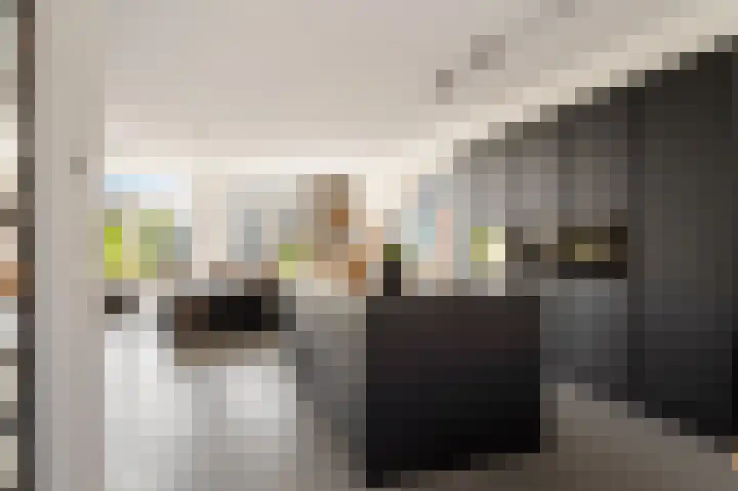 Tinbergenlaan 82 Rotterdam thumbnail 19
