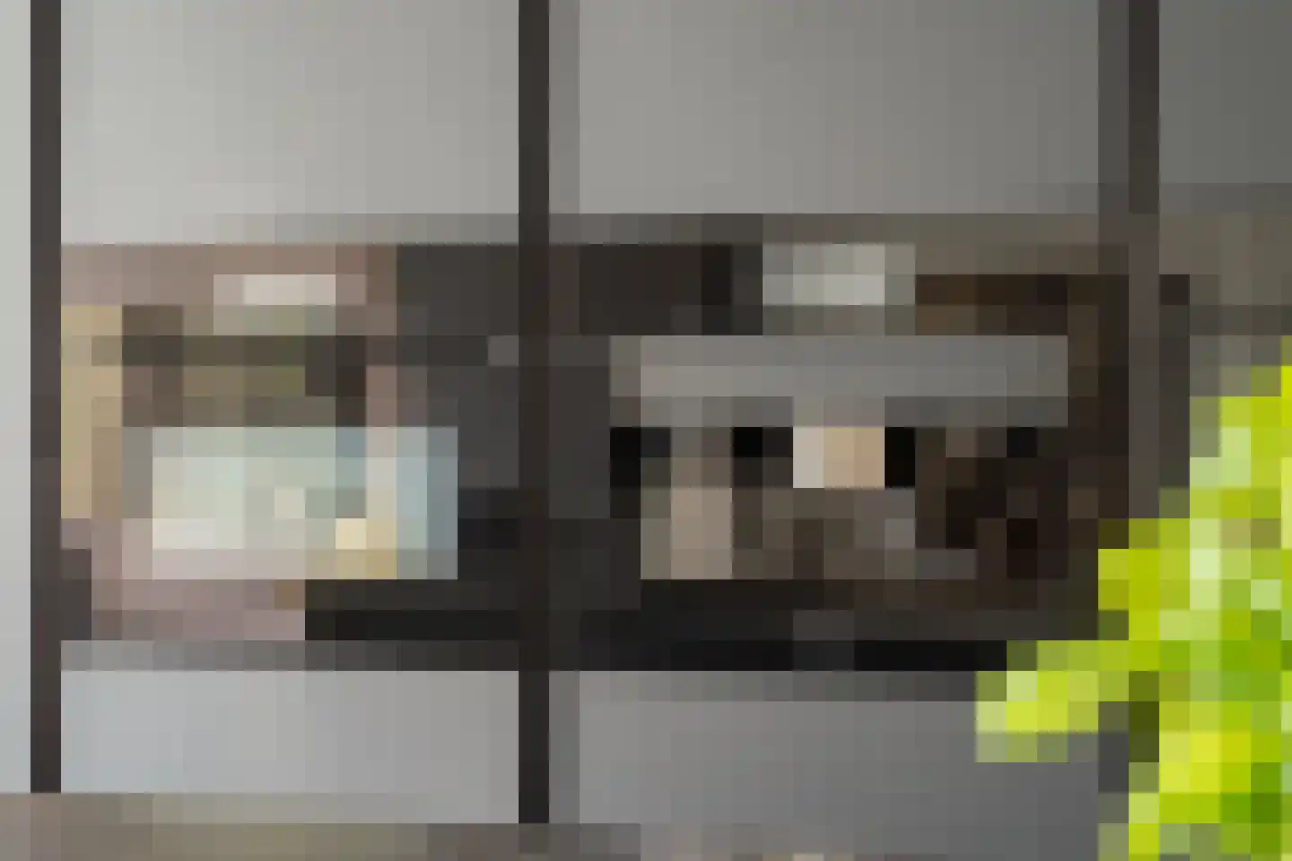 Tinbergenlaan 82 Rotterdam thumbnail 20