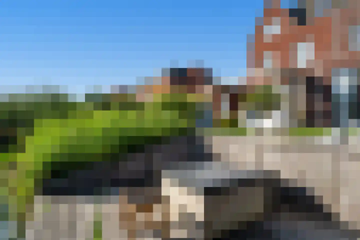 Tinbergenlaan 82 Rotterdam thumbnail 32