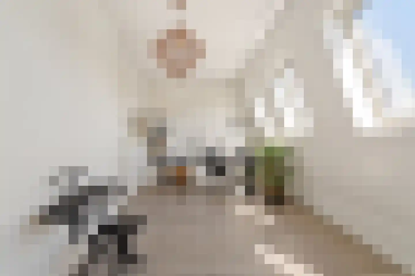 Tinbergenlaan 82 Rotterdam thumbnail 53