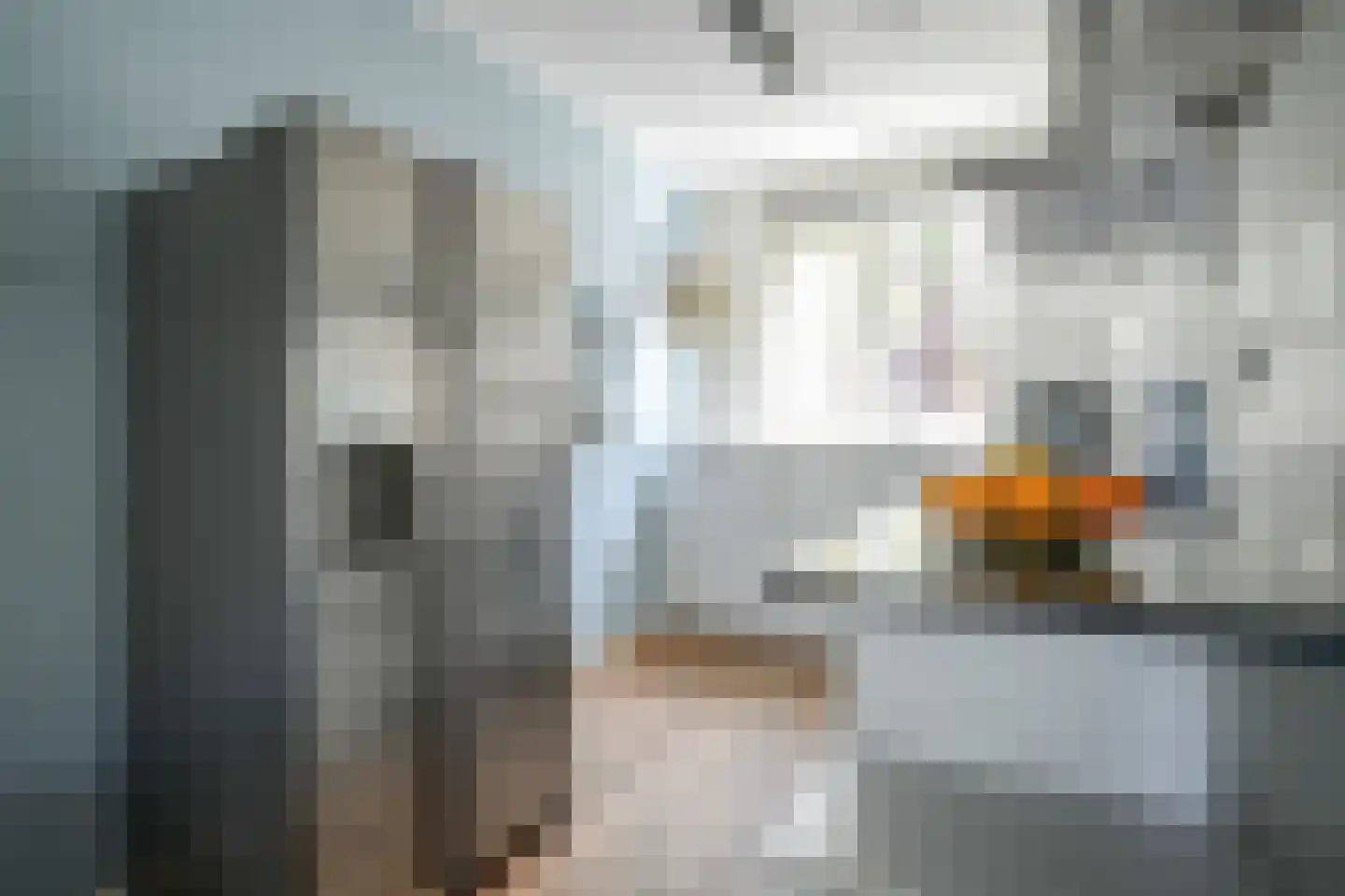 Tinbergenlaan 9 Rotterdam thumbnail 14