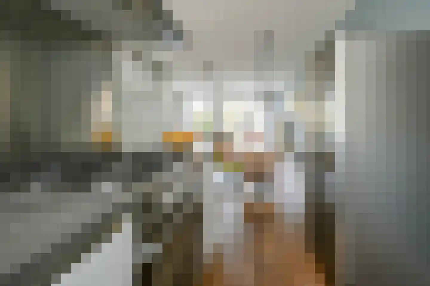 Tinbergenlaan 9 Rotterdam thumbnail 16