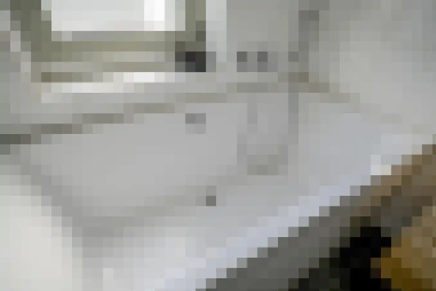 Tinbergenlaan 9 Rotterdam thumbnail 19