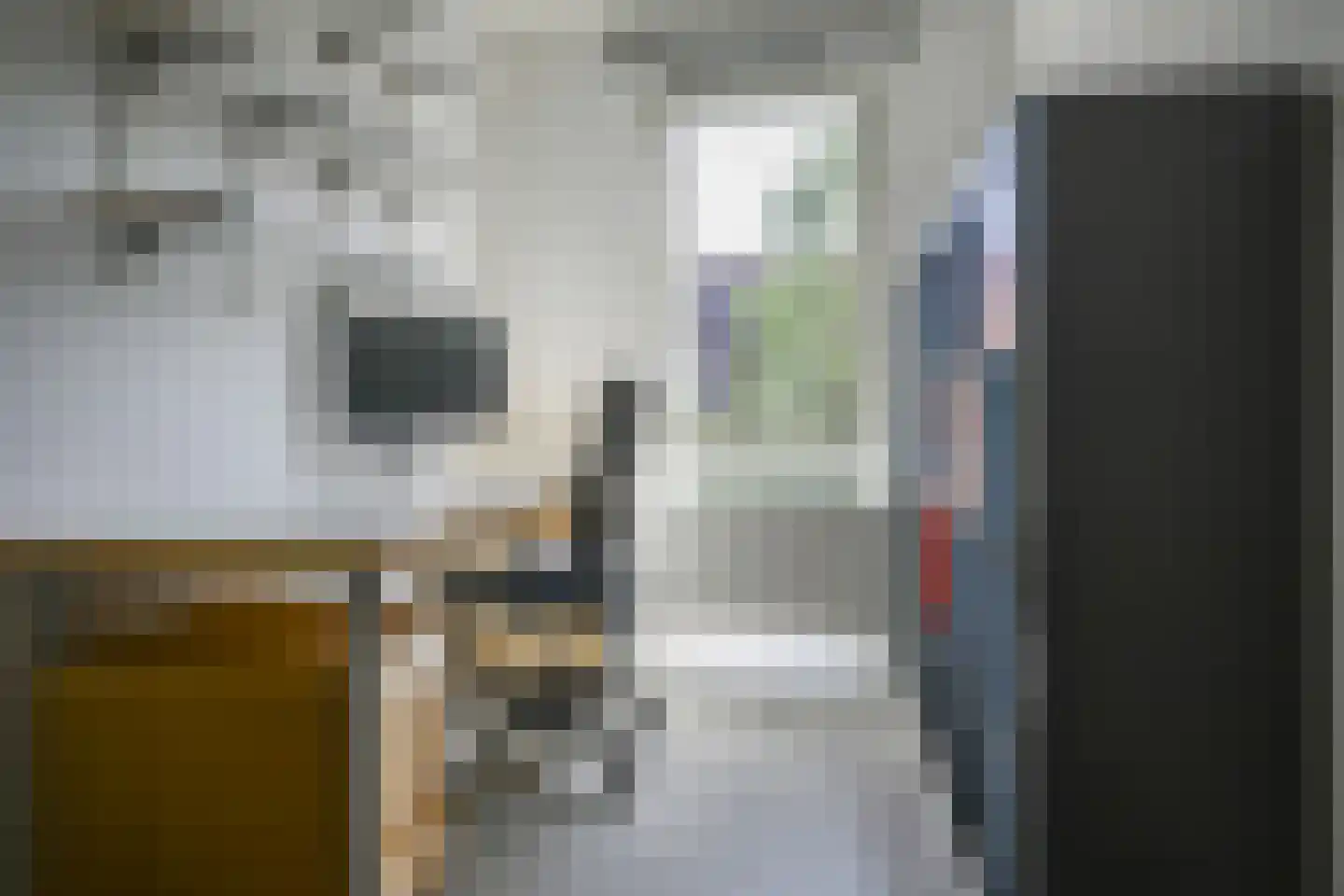 Tinbergenlaan 9 Rotterdam thumbnail 31