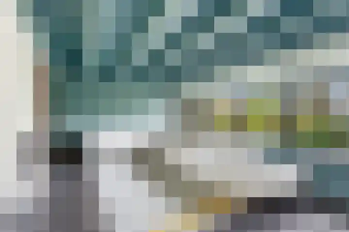 Tinbergenplantsoen 16 Papendrecht thumbnail 10