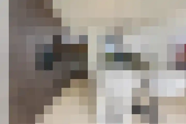 Tinbergenplantsoen 16 Papendrecht thumbnail 17