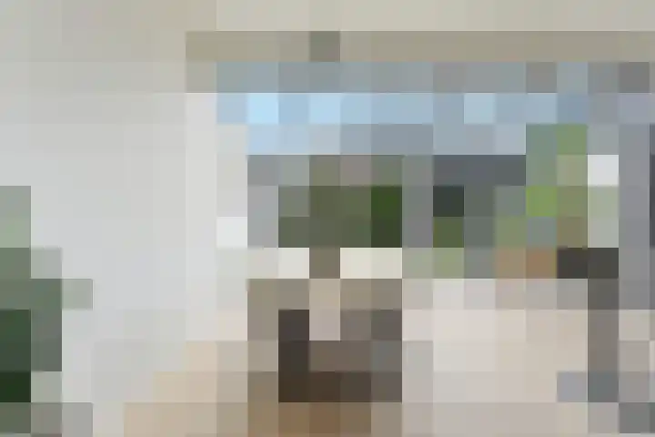 Tinbergenplantsoen 16 Papendrecht thumbnail 24