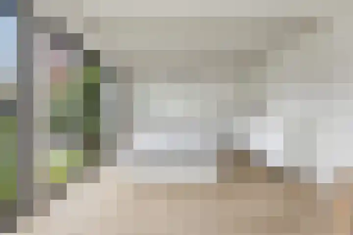 Tinbergenplantsoen 16 Papendrecht thumbnail 34