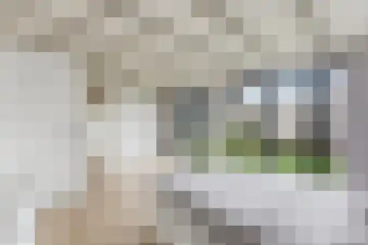 Tinbergenplantsoen 16 Papendrecht thumbnail 37
