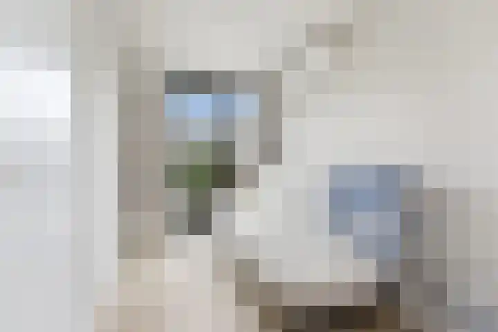 Tinbergenplantsoen 16 Papendrecht thumbnail 40