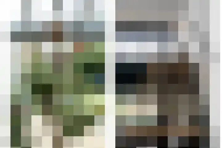 Tinbergenplantsoen 16 Papendrecht thumbnail 43