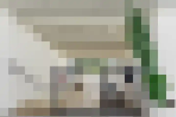 Tinbergenplantsoen 16 Papendrecht thumbnail 44
