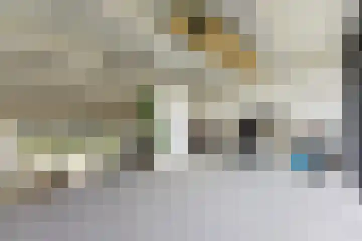 Tinbergenplantsoen 16 Papendrecht thumbnail 45