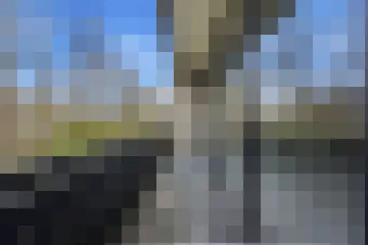 Tinbergenplantsoen 16 Papendrecht thumbnail 51