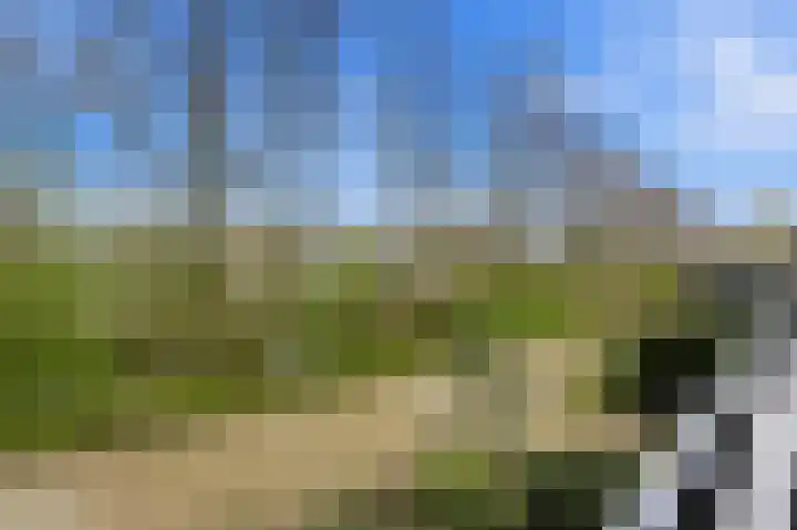 Tinbergenplantsoen 16 Papendrecht thumbnail 52