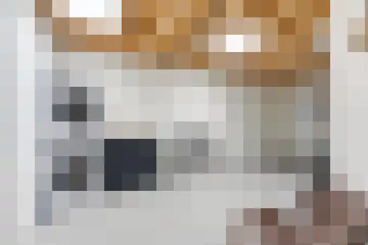 Tinbergenplantsoen 16 Papendrecht thumbnail 53