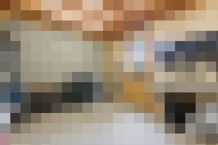Tinbergenplantsoen 16 Papendrecht thumbnail 64
